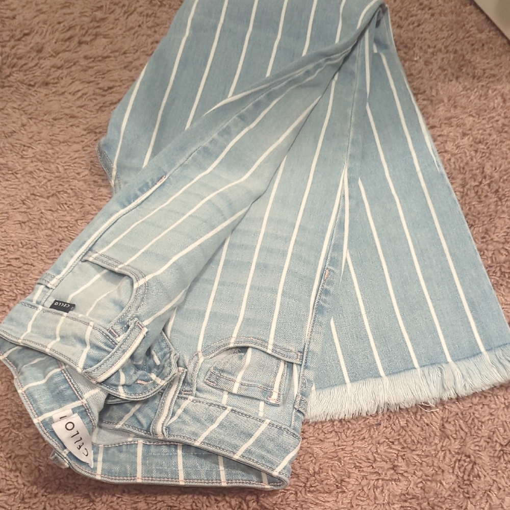 Cello Light Blue Striped Women's Jeans